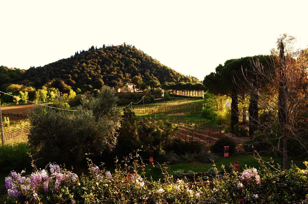 Podere L'Olmaia Marsiliana d'Albegna Extérieur photo